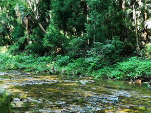 自驾游2日游哪里好玩（自驾游二日游景点安排）,自驾游2日游哪里好玩（自驾游二日游景点安排）,第3张