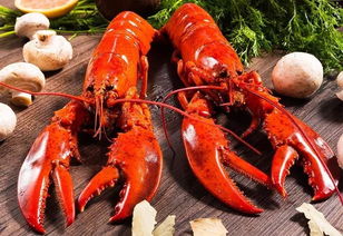 波士顿龙虾怎么清理(怎么吃波士顿大龙虾),第3张 波士顿龙虾怎么清理(怎么吃波士顿大龙虾),波士顿龙虾怎么清理(怎么吃波士顿大龙虾),第3张