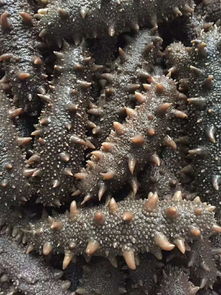 标志907的简单介绍,第3张 标志907的简单介绍,标志907的简单介绍,第3张