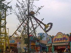 装修公司：为你打造梦幻婚礼：精美细致的婚庆布置,装修公司：为你打造梦幻婚礼：精美细致的婚庆布置,第3张