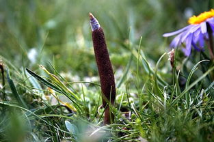 南京特色美食店(南京美食名店),第1张 南京特色美食店(南京美食名店),南京特色美食店(南京美食名店),第1张