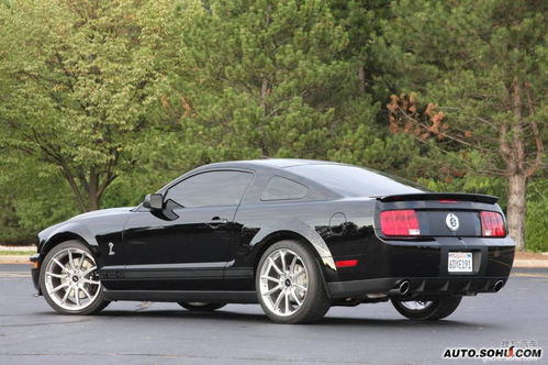 野马眼镜蛇的简单介绍,野马眼镜蛇的简单介绍,第2张