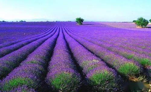 西安限号2020最新限号11月(西安限号2020最新限号11月几点到几点),第2张 西安限号2020最新限号11月(西安限号2020最新限号11月几点到几点),西安限号2020最新限号11月(西安限号2020最新限号11月几点到几点),第2张