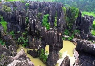 碧潭幽谷(07年南川金佛山碧潭幽谷),第2张 碧潭幽谷(07年南川金佛山碧潭幽谷),碧潭幽谷(07年南川金佛山碧潭幽谷),第2张