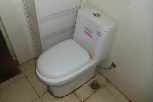 抽水马桶盖（抽水马桶盖子怎么拆下来）,抽水马桶盖（抽水马桶盖子怎么拆下来）,第2张