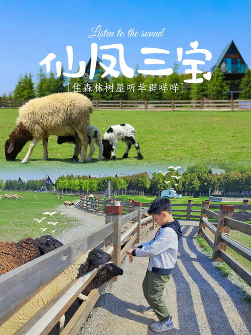 树林中的糕点店(树林的零食),第2张 树林中的糕点店(树林的零食),树林中的糕点店(树林的零食),第2张