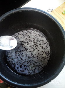 写字楼装修公司：欧式建筑中如何巧妙运用百叶窗,写字楼装修公司：欧式建筑中如何巧妙运用百叶窗,第2张