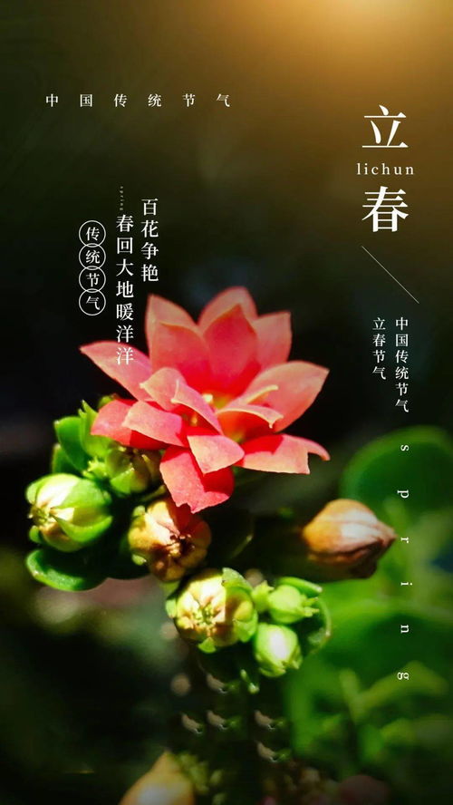 握力（握力测试标准表）,握力（握力测试标准表）,第2张