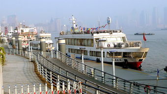 牛肉粒的做法大全（牛肉粒的做法）,牛肉粒的做法大全（牛肉粒的做法）,第1张