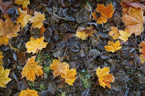 秋分节气(秋分节气的特点介绍),第1张 秋分节气(秋分节气的特点介绍),秋分节气(秋分节气的特点介绍),第1张