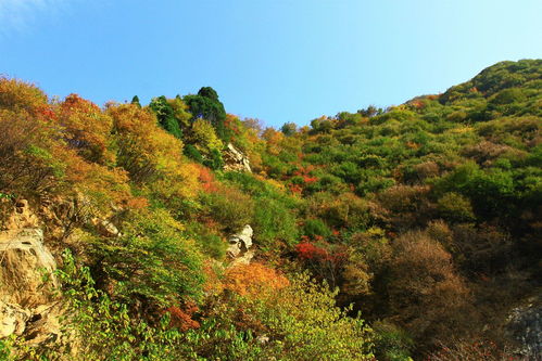 少华山旅游攻略一日游（少华山旅游攻略一日游路线）,少华山旅游攻略一日游（少华山旅游攻略一日游路线）,第2张