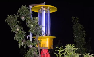 黑光灯价格(黑光灯是什么的用处),第2张 黑光灯价格(黑光灯是什么的用处),黑光灯价格(黑光灯是什么的用处),第2张