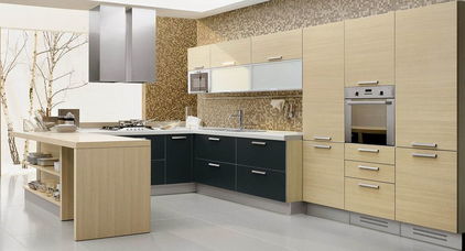 图腾宝佳橱柜（图腾宝佳橱柜官方网站）,图腾宝佳橱柜（图腾宝佳橱柜官方网站）,第2张