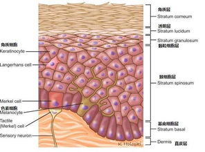 办公装潢:空气源热泵品牌:如何选择最适合您的产品?,第2张 办公装潢:空气源热泵品牌:如何选择最适合您的产品?,办公装潢:空气源热泵品牌:如何选择最适合您的产品?,第2张