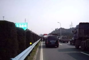 爱情是怎么了（爱情是怎么了mv）,爱情是怎么了（爱情是怎么了mv）,第3张