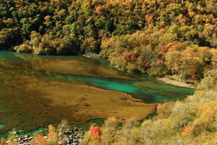 雪福来克鲁兹(雪福来克鲁泽13t图片),第1张 雪福来克鲁兹(雪福来克鲁泽13t图片),雪福来克鲁兹(雪福来克鲁泽13t图片),第1张