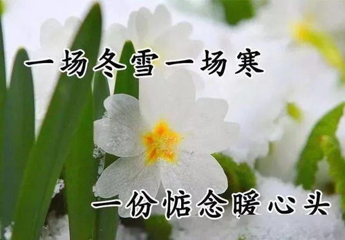 丰田普拉多怎么样（丰田普拉多怎么样优点缺点）,丰田普拉多怎么样（丰田普拉多怎么样优点缺点）,第3张