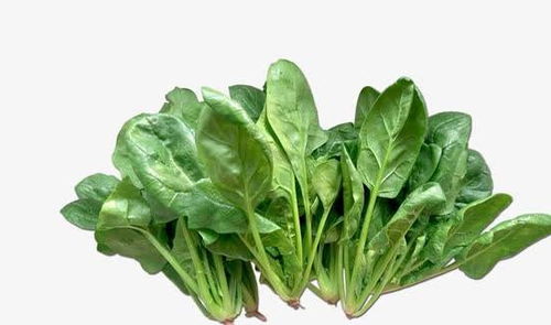 办公楼装修设计:燃起家居的温暖——浅谈爱客多燃气壁挂炉的优势,第3张 办公楼装修设计:燃起家居的温暖——浅谈爱客多燃气壁挂炉的优势,办公楼装修设计:燃起家居的温暖——浅谈爱客多燃气壁挂炉的优势,第3张