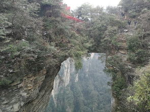 上海办公室装修公司:揭秘新明珠:探访上海科技创新的新地标,第3张 上海办公室装修公司:揭秘新明珠:探访上海科技创新的新地标,上海办公室装修公司:揭秘新明珠:探访上海科技创新的新地标,第3张