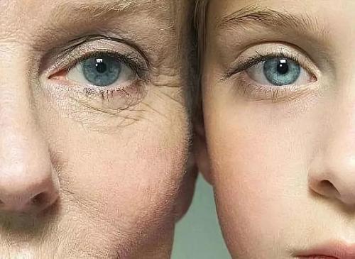 办公室设计装修公司:"听力障碍者的福音!购买助听器的完全指南",第1张 办公室设计装修公司:"听力障碍者的福音!购买助听器的完全指南",办公室设计装修公司:"听力障碍者的福音!购买助听器的完全指南",第1张