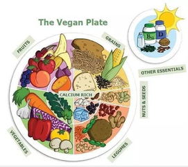 饮食误区(饮食误区的意义),第3张 饮食误区(饮食误区的意义),饮食误区(饮食误区的意义),第3张