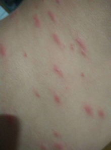 办公楼装饰:如何布置新房?,第1张 办公楼装饰:如何布置新房?,办公楼装饰:如何布置新房?,第1张