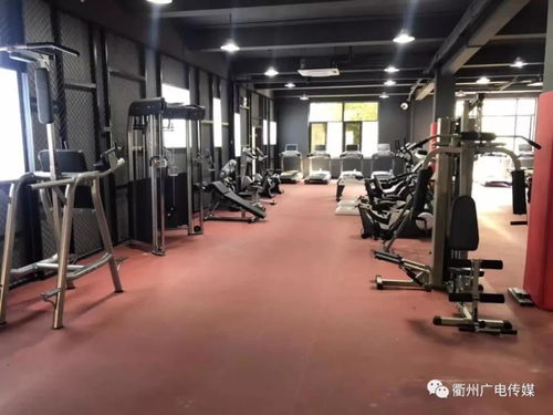 长城皮卡风骏3(长城皮卡风骏3轮胎型号),第2张 长城皮卡风骏3(长城皮卡风骏3轮胎型号),长城皮卡风骏3(长城皮卡风骏3轮胎型号),第2张