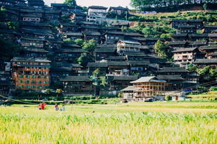 千户苗寨旅游攻略(千户苗寨旅游攻略一日游),第2张 千户苗寨旅游攻略(千户苗寨旅游攻略一日游),千户苗寨旅游攻略(千户苗寨旅游攻略一日游),第2张