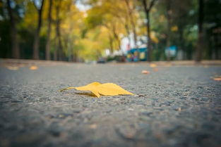 立秋皮肤的保养知识(立秋皮肤的保养知识是什么),第2张 立秋皮肤的保养知识(立秋皮肤的保养知识是什么),立秋皮肤的保养知识(立秋皮肤的保养知识是什么),第2张