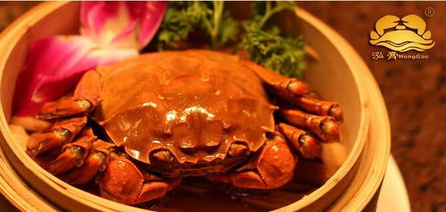 大闸蟹做法教程最简单(大闸蟹做法最正宗的做法),第2张 大闸蟹做法教程最简单(大闸蟹做法最正宗的做法),大闸蟹做法教程最简单(大闸蟹做法最正宗的做法),第2张