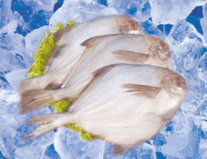 装修设计:深圳办公室屏风秘密武器,为你的办公室提升隐私保密性,第3张 装修设计:深圳办公室屏风秘密武器,为你的办公室提升隐私保密性,装修设计:深圳办公室屏风秘密武器,为你的办公室提升隐私保密性,第3张