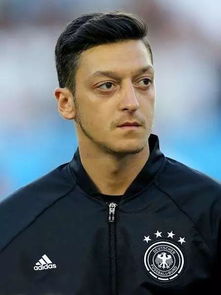 上海办公室装修设计：电子围栏：保护宠物安全的有效方法,上海办公室装修设计：电子围栏：保护宠物安全的有效方法,第2张