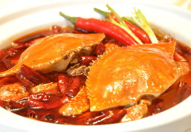 梭子蟹怎么做好吃又简单方便(梭子蟹制作方法),第1张 梭子蟹怎么做好吃又简单方便(梭子蟹制作方法),梭子蟹怎么做好吃又简单方便(梭子蟹制作方法),第1张