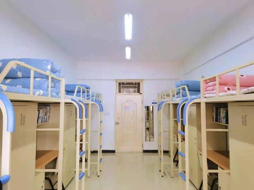 美人豹怎么样（美人豹多少钱）,美人豹怎么样（美人豹多少钱）,第1张