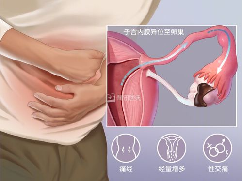 上海写字楼装修:【标题重写】探秘棕垫市场,十大品牌真相揭秘!,第2张 上海写字楼装修:【标题重写】探秘棕垫市场,十大品牌真相揭秘!,上海写字楼装修:【标题重写】探秘棕垫市场,十大品牌真相揭秘!,第2张