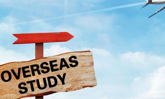 去俄罗斯留学会被歧视吗(去俄罗斯留学的弊端),第1张 去俄罗斯留学会被歧视吗(去俄罗斯留学的弊端),去俄罗斯留学会被歧视吗(去俄罗斯留学的弊端),第1张