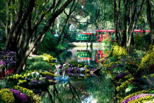 关于上海滨江森林公园景点介绍的信息,第2张 关于上海滨江森林公园景点介绍的信息,关于上海滨江森林公园景点介绍的信息,第2张