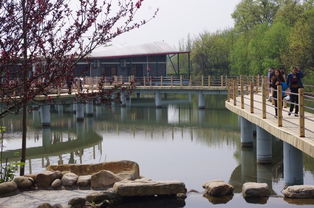 信阳旅游攻略(信阳旅游攻略自驾游),第2张 信阳旅游攻略(信阳旅游攻略自驾游),信阳旅游攻略(信阳旅游攻略自驾游),第2张