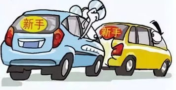 驾车技术（驾车技术娴熟）,驾车技术（驾车技术娴熟）,第2张