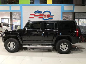 比悍马更强的越野车(比悍马还大的巨型suv),第3张 比悍马更强的越野车(比悍马还大的巨型suv),比悍马更强的越野车(比悍马还大的巨型suv),第3张