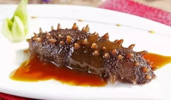 家庭发海参的正确方法（海参家庭最简单做法）,家庭发海参的正确方法（海参家庭最简单做法）,第3张