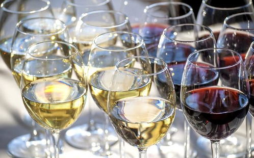 自制葡萄酒的做法步骤(葡萄酒怎么做的步骤和时间),第3张 自制葡萄酒的做法步骤(葡萄酒怎么做的步骤和时间),自制葡萄酒的做法步骤(葡萄酒怎么做的步骤和时间),第3张