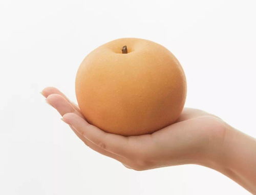 丰水梨(丰水梨与秋月梨哪个好),第1张 丰水梨(丰水梨与秋月梨哪个好),丰水梨(丰水梨与秋月梨哪个好),第1张