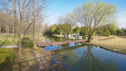 关于上海滨江森林公园景点介绍的信息,第3张 关于上海滨江森林公园景点介绍的信息,关于上海滨江森林公园景点介绍的信息,第3张