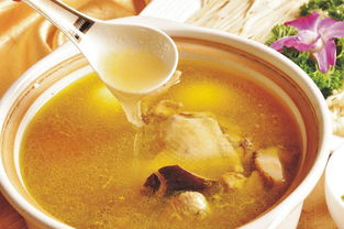 煲鸡汤放什么材料好喝又补血(煲鸡汤放什么材料好喝又补气血),第3张 煲鸡汤放什么材料好喝又补血(煲鸡汤放什么材料好喝又补气血),煲鸡汤放什么材料好喝又补血(煲鸡汤放什么材料好喝又补气血),第3张