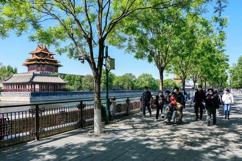 琼海旅游景点排名（琼海旅游景点排名前十）,琼海旅游景点排名（琼海旅游景点排名前十）,第1张