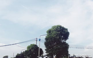 旅游景区哪里好玩(深圳附近旅游景区哪里好玩),第1张 旅游景区哪里好玩(深圳附近旅游景区哪里好玩),旅游景区哪里好玩(深圳附近旅游景区哪里好玩),第1张