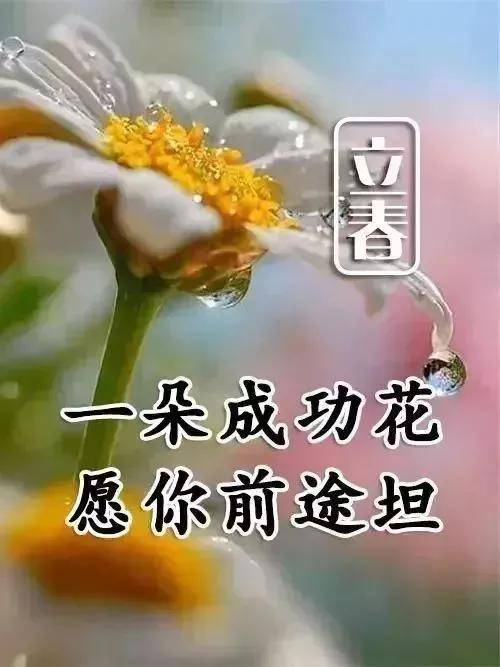 立春的优美句子(立春的优美句子一年级),第1张 立春的优美句子(立春的优美句子一年级),立春的优美句子(立春的优美句子一年级),第1张