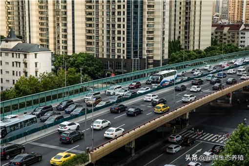 今年中秋节高速免费吗(今年中秋节高速免费吗2021年),第3张 今年中秋节高速免费吗(今年中秋节高速免费吗2021年),今年中秋节高速免费吗(今年中秋节高速免费吗2021年),第3张