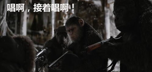 握力（握力测试标准表）,握力（握力测试标准表）,第1张